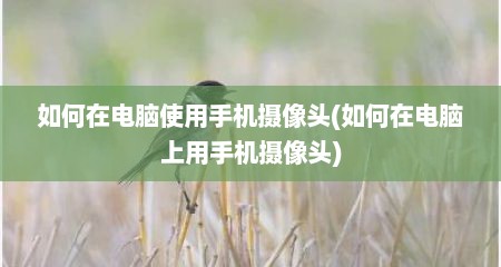 如何在电脑使用手机摄像头(如何在电脑上用手机摄像头)
