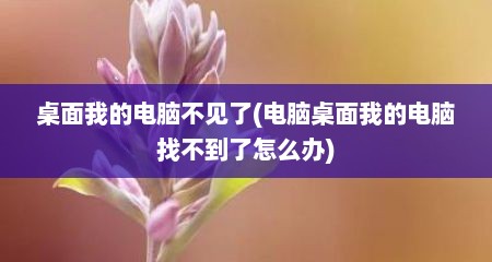 桌面我的电脑不见了(电脑桌面我的电脑找不到了怎么办)