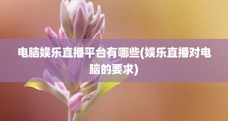 电脑娱乐直播平台有哪些(娱乐直播对电脑的要求)