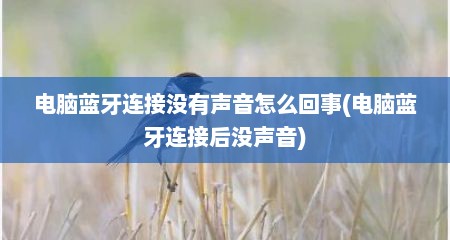 电脑蓝牙连接没有声音怎么回事(电脑蓝牙连接后没声音)