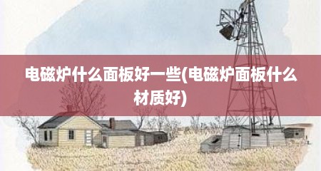 电磁炉什么面板好一些(电磁炉面板什么材质好)