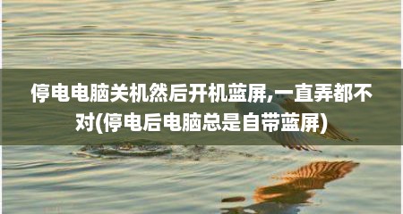 停电电脑关机然后开机蓝屏,一直弄都不对(停电后电脑总是自带蓝屏)