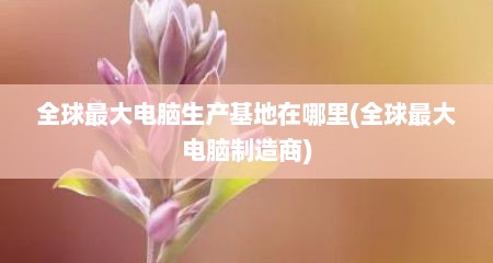 全球最大电脑生产基地在哪里(全球最大电脑制造商)