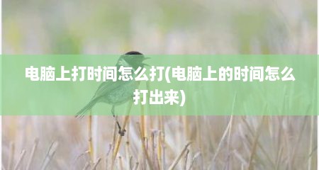电脑上打时间怎么打(电脑上的时间怎么打出来)