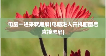 电脑一进来就黑屏(电脑进入开机画面后直接黑屏)
