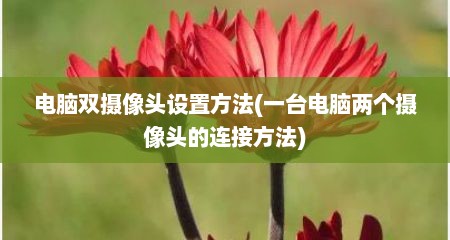 电脑双摄像头设置方法(一台电脑两个摄像头的连接方法)