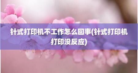 针式打印机不工作怎么回事(针式打印机打印没反应)