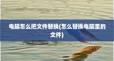 电脑怎么把文件替换(怎么替换电脑里的文件)