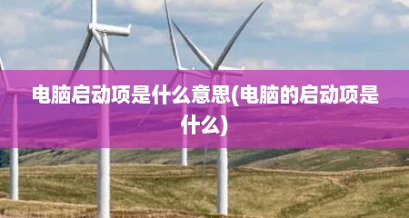 电脑启动项是什么意思(电脑的启动项是什么)