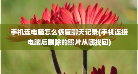 手机连电脑怎么恢复聊天记录(手机连接电脑后删除的照片从哪找回)