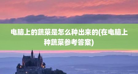 电脑上的蔬菜是怎么种出来的(在电脑上种蔬菜参考答案)