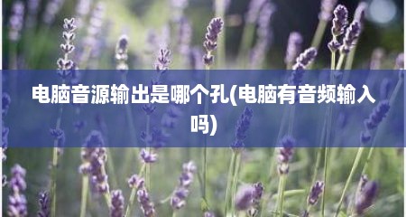 电脑音源输出是哪个孔(电脑有音频输入吗)