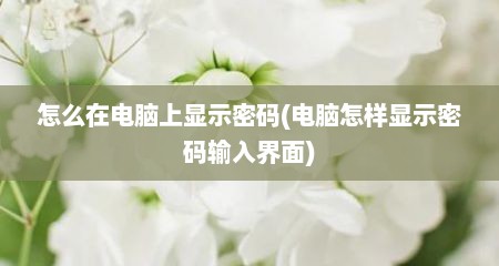 怎么在电脑上显示密码(电脑怎样显示密码输入界面)