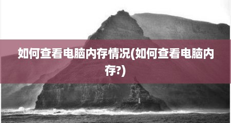 如何查看电脑内存情况(如何查看电脑内存?)