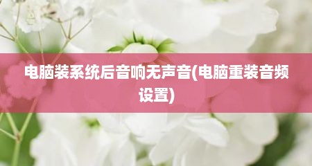 电脑装系统后音响无声音(电脑重装音频设置)