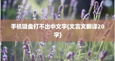 手机键盘打不出中文字(文言文翻译20字)