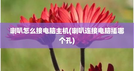 喇叭怎么接电脑主机(喇叭连接电脑插哪个孔)