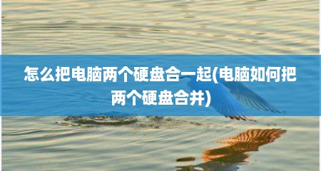 怎么把电脑两个硬盘合一起(电脑如何把两个硬盘合并)