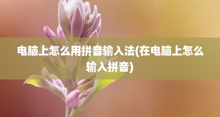 电脑上怎么用拼音输入法(在电脑上怎么输入拼音)