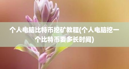 个人电脑比特币挖矿教程(个人电脑挖一个比特币要多长时间)