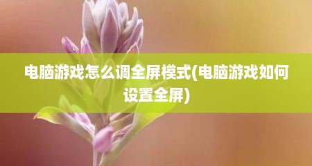 电脑游戏怎么调全屏模式(电脑游戏如何设置全屏)
