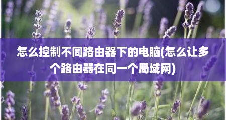 怎么控制不同路由器下的电脑(怎么让多个路由器在同一个局域网)