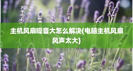主机风扇噪音大怎么解决(电脑主机风扇风声太大)