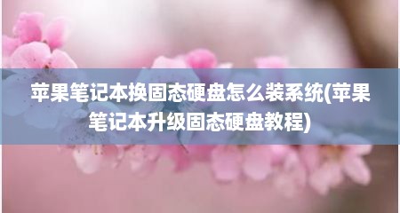 苹果笔记本换固态硬盘怎么装系统(苹果笔记本升级固态硬盘教程)