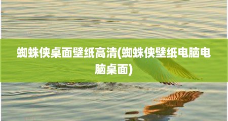 蜘蛛侠桌面壁纸高清(蜘蛛侠壁纸电脑电脑桌面)
