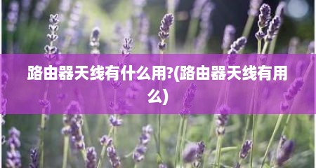 路由器天线有什么用?(路由器天线有用么)
