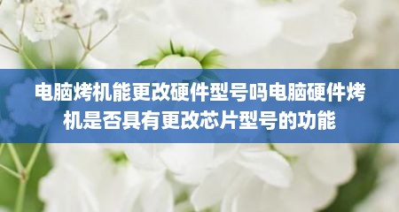 电脑烤机能更改硬件型号吗电脑硬件烤机是否具有更改芯片型号的功能
