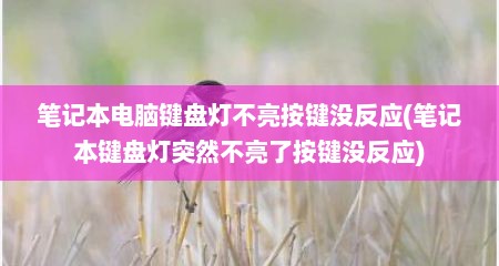 笔记本电脑键盘灯不亮按键没反应(笔记本键盘灯突然不亮了按键没反应)