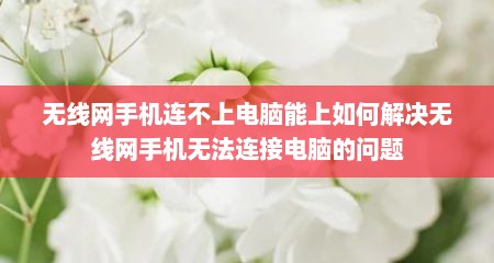 无线网手机连不上电脑能上如何解决无线网手机无法连接电脑的问题