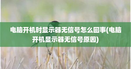 电脑开机时显示器无信号怎么回事(电脑开机显示器无信号原因)