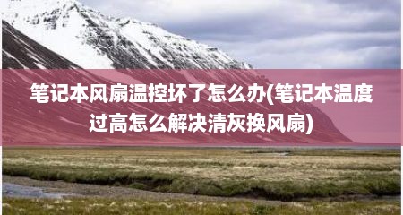 笔记本风扇温控坏了怎么办(笔记本温度过高怎么解决清灰换风扇)