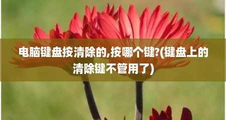 电脑键盘按清除的,按哪个键?(键盘上的清除键不管用了)