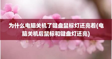 为什么电脑关机了键盘鼠标灯还亮着(电脑关机后鼠标和键盘灯还亮)