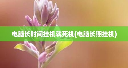 电脑长时间挂机就死机(电脑长期挂机)