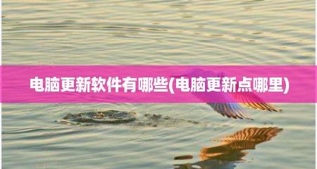电脑更新软件有哪些(电脑更新点哪里)