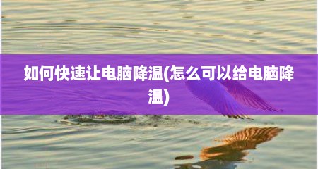 如何快速让电脑降温(怎么可以给电脑降温)