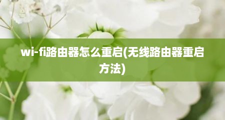 wi-fi路由器怎么重启(无线路由器重启方法)