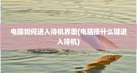 电脑如何进入待机界面(电脑按什么键进入待机)