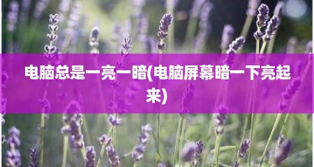 电脑总是一亮一暗(电脑屏幕暗一下亮起来)