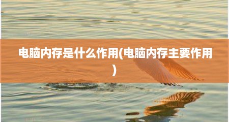 电脑内存是什么作用(电脑内存主要作用)