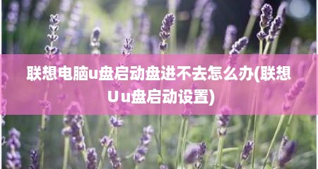 联想电脑u盘启动盘进不去怎么办(联想∪u盘启动设置)