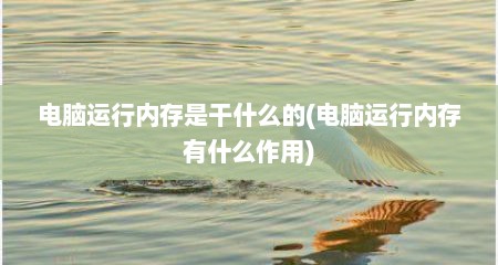 电脑运行内存是干什么的(电脑运行内存有什么作用)