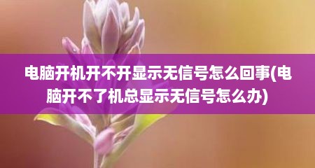电脑开机开不开显示无信号怎么回事(电脑开不了机总显示无信号怎么办)