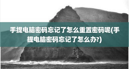手提电脑密码忘记了怎么重置密码呢(手提电脑密码忘记了怎么办?)