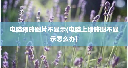 电脑缩略图片不显示(电脑上缩略图不显示怎么办)