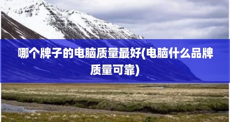 哪个牌子的电脑质量最好(电脑什么品牌质量可靠)